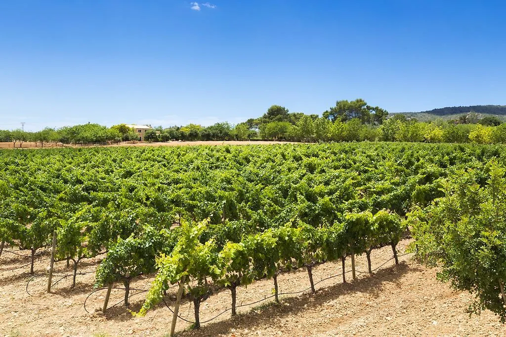 Hotell Agroturisme Sa Torre (Adults Only) Santa Eugenia
