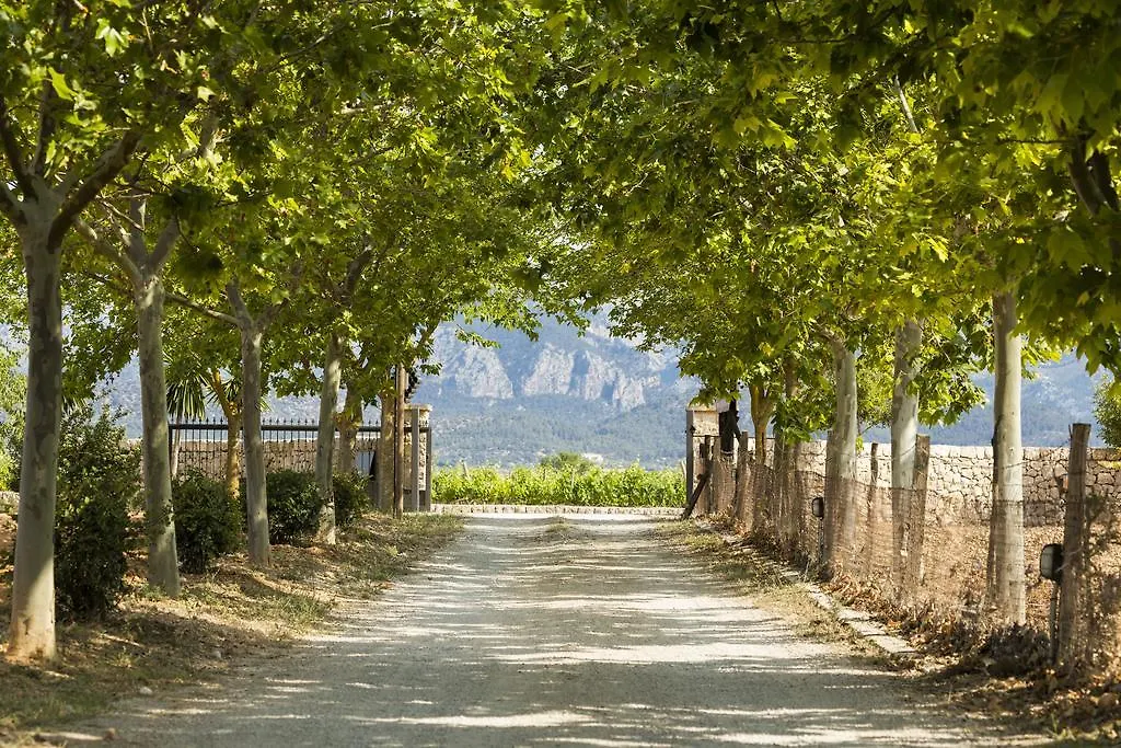 Agroturisme Sa Torre (Adults Only) Santa Eugenia 4*,